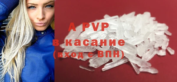ГАЛЛЮЦИНОГЕННЫЕ ГРИБЫ Козловка