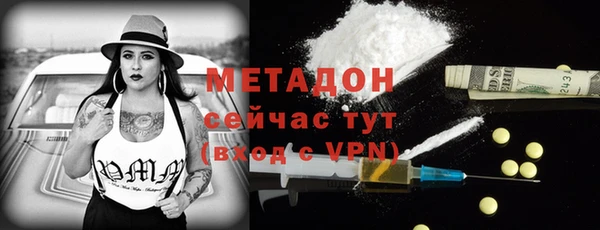 ГАЛЛЮЦИНОГЕННЫЕ ГРИБЫ Козловка