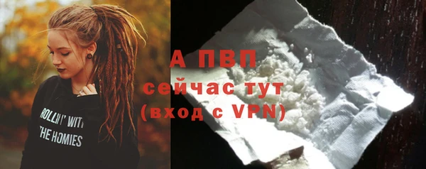 ГАЛЛЮЦИНОГЕННЫЕ ГРИБЫ Козловка
