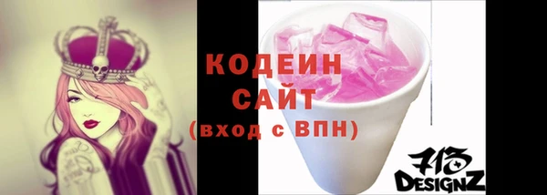 ГАЛЛЮЦИНОГЕННЫЕ ГРИБЫ Козловка