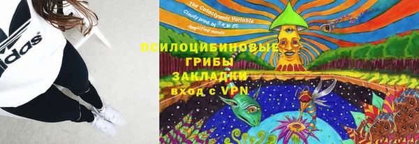 трава Козельск