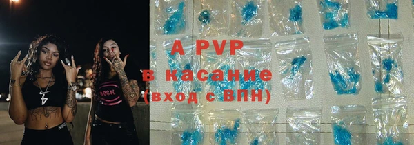 ГАЛЛЮЦИНОГЕННЫЕ ГРИБЫ Козловка