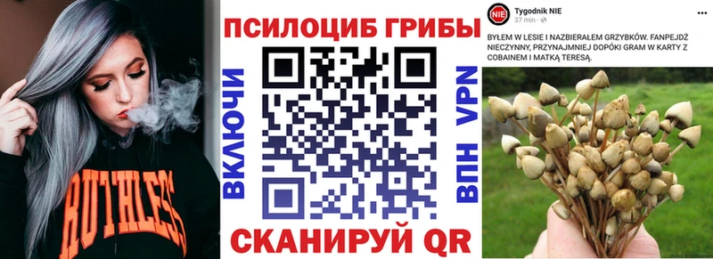 Галлюциногенные грибы мухоморы  Купить  Серов 